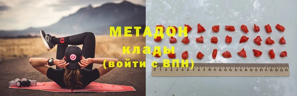 PSILOCYBIN Алзамай