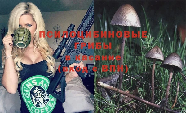 альфа пвп Алексеевка