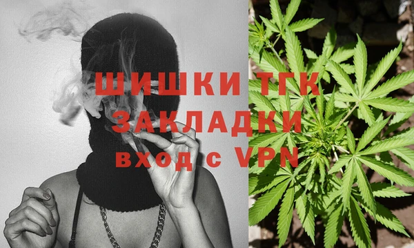 PSILOCYBIN Алзамай